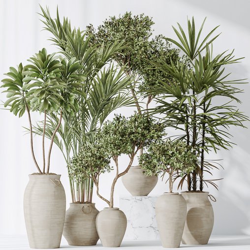 Indoor plants set 87 Mission Olive and Areca Reed Palm and Palm Hydro Care 3d model Download Maxve