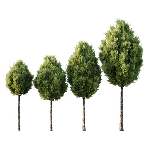 Italian Cypress Tree 18 3d model Download Maxve