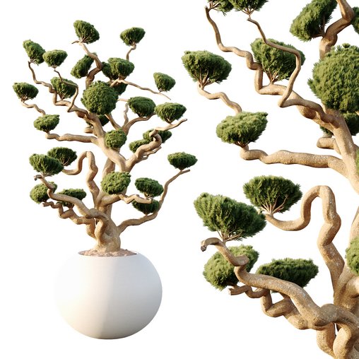 Potted sphere tree01 3d model Download Maxve