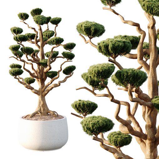 Potted sphere tree05 3d model Download Maxve