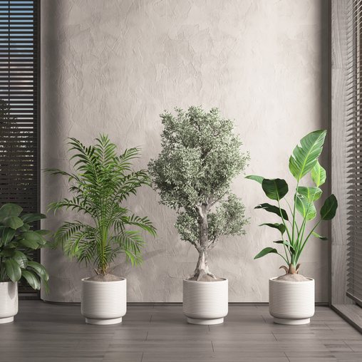 Plants 3 3d model Download Maxve