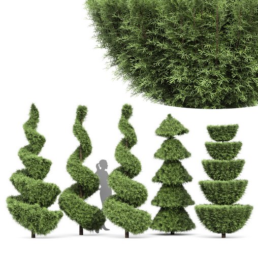 Beloved Italian Cypress trees ideas 3d model Download Maxve