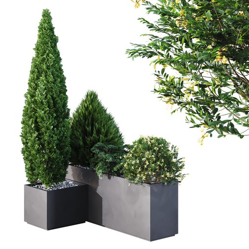 HQ Tree and bush garden box outdoor VOL 04 3d model Download Maxve