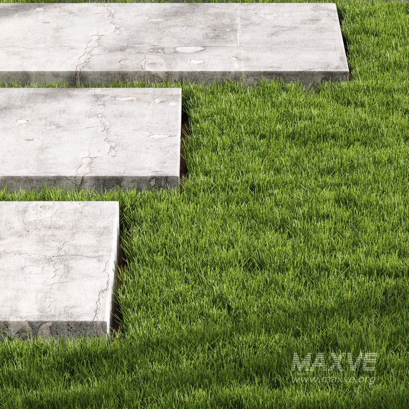 Decorative Floor Grass 3d model Download Maxve