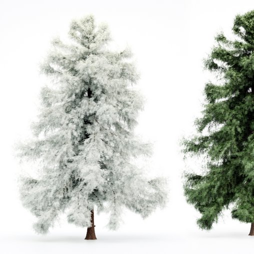 Alaska Cedar - Spring to Winter 3d model Download Maxve
