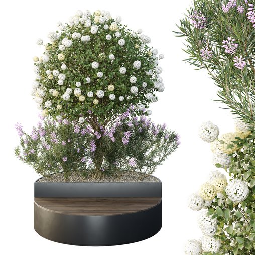 HQ Tree and bush garden box outdoor VOL 20 3d model Download Maxve