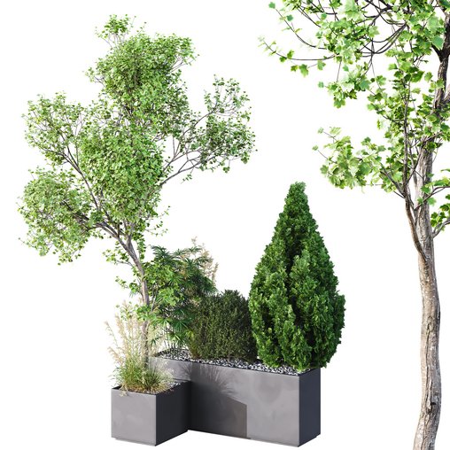 HQ Tree and bush garden box outdoor VOL 05 3d model Download Maxve