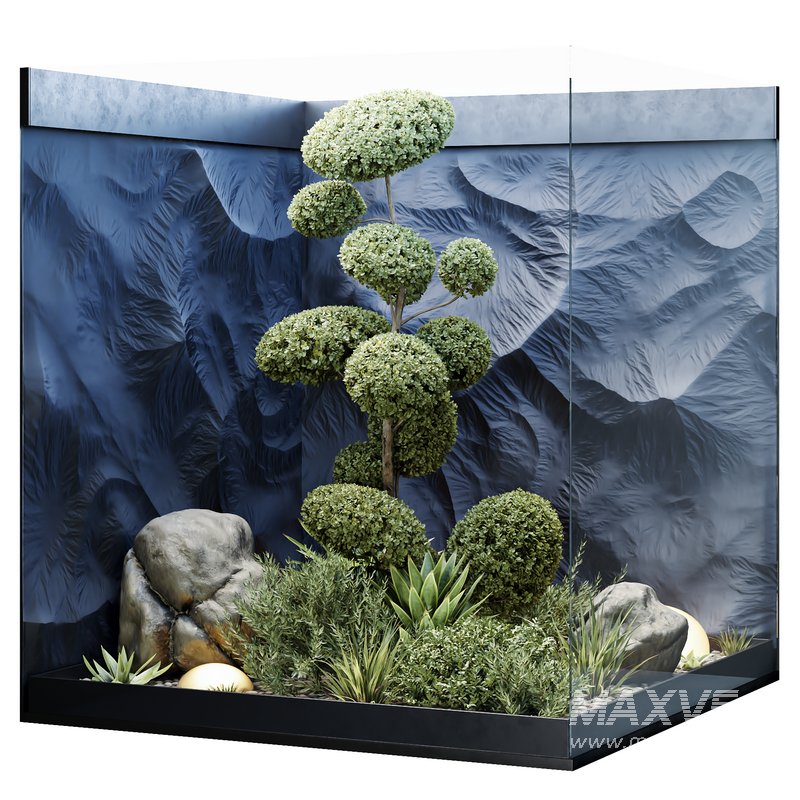 HQ Plants Indoor Set Box Glass