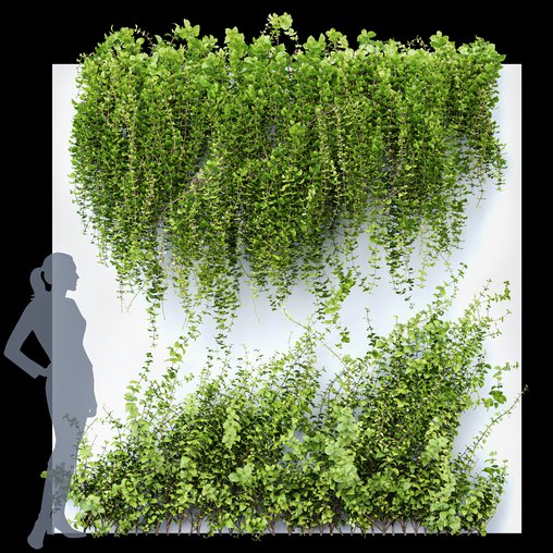 Wall Artificial Hanging Plants-01 3d model Download Maxve