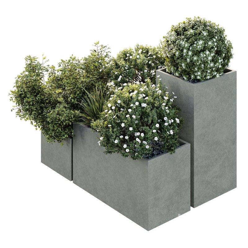 HQ Tree and bush garden box outdoor VOL 10