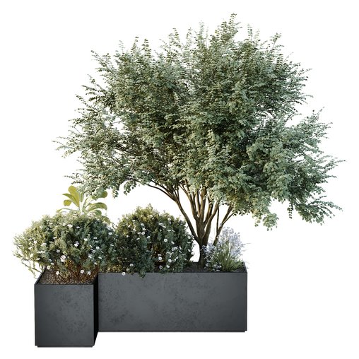 HQ Tree and bush garden box outdoor VOL 13 3d model Download Maxve