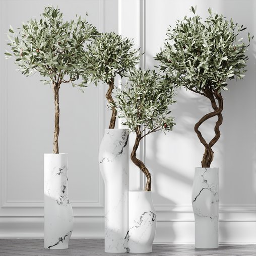 HQ Plants Mission Olive Tree Indoor Vase Set003 3d model Download Maxve