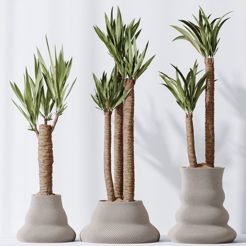 Plants Yucca Elephantipes Gigantea Vase Set02 3d model Download Maxve
