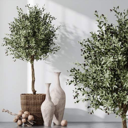 HQ Plants Mission Olive Tree Indoor Vase Set005 3d model Download Maxve