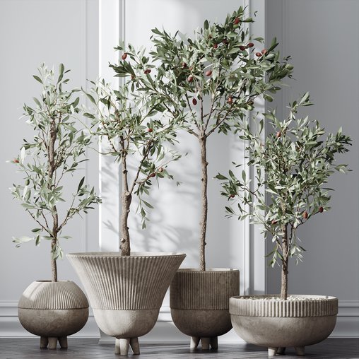 HQ Plants Mission Olive Tree Indoor Vase Set001 3d model Download Maxve