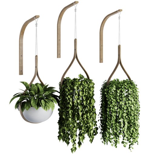 Hanging Indoor Plant - SetV6 3d model Download Maxve