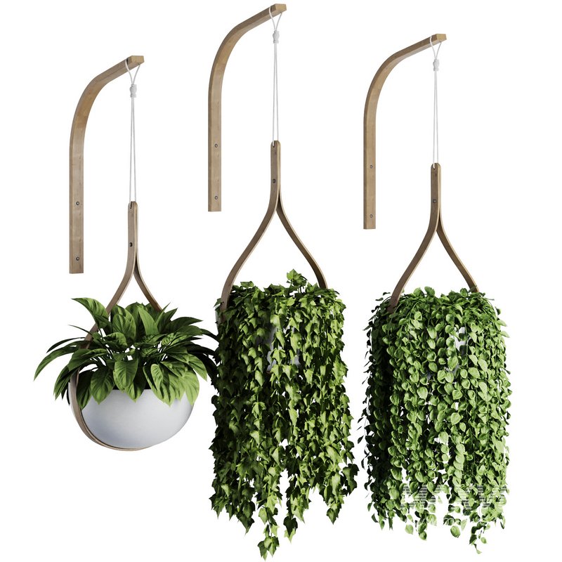 Hanging Indoor Plant – SetV6