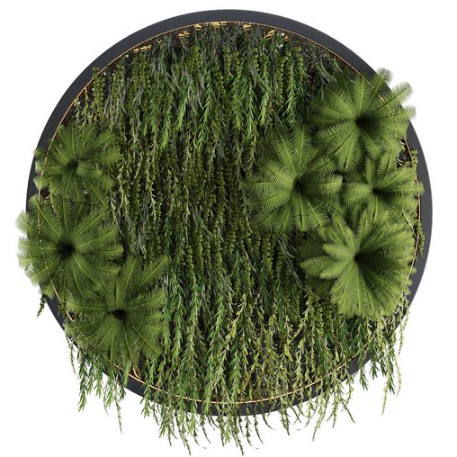Circle Green Wall Plants 3d model Download Maxve