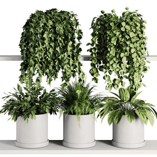 Plants on Shelf SetV7 3d model Download Maxve