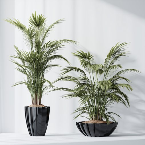 HQ Plants Areca Majesty Cat Reed Palm Set04 3d model Download Maxve