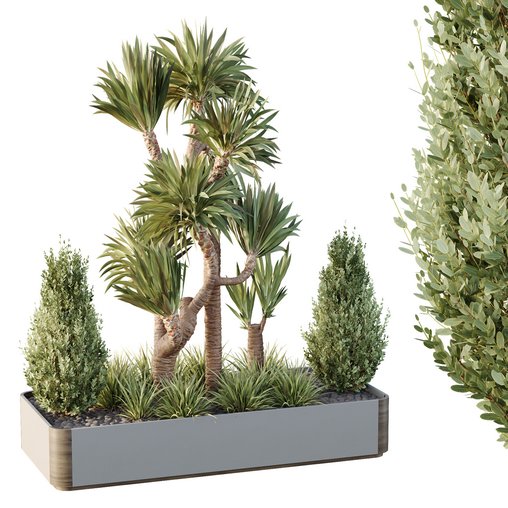 HQ Tree and bush garden box outdoor VOL 25 3d model Download Maxve