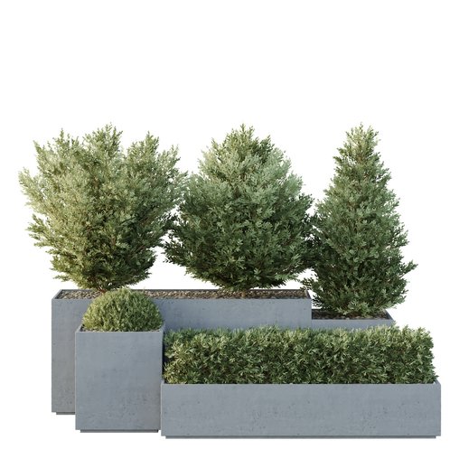 HQ Tree and bush garden box outdoor VOL 27 3d model Download Maxve