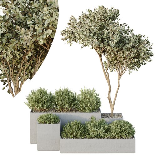 HQ Tree and bush garden box outdoor VOL 26 3d model Download Maxve