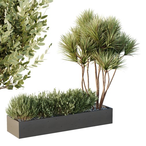 HQ Tree and bush garden box outdoor VOL 22 3d model Download Maxve