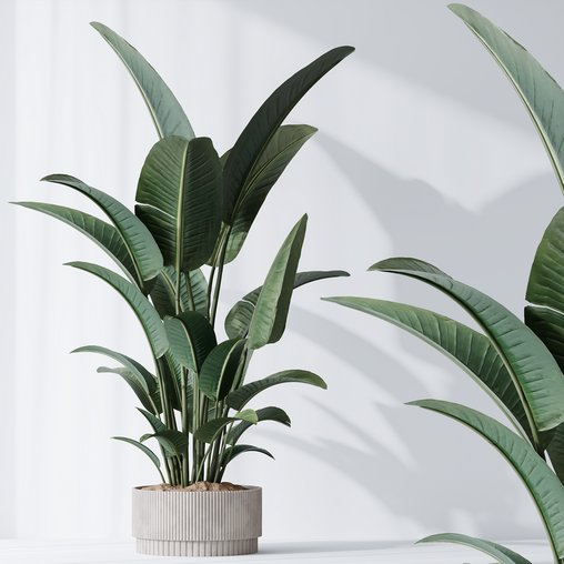 HQ Plants Bird Of ParadiseBird Vase 3d model Download Maxve