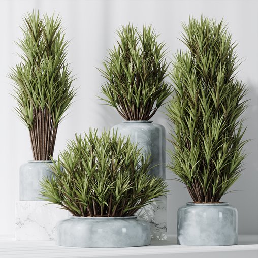 HQ Plants Yucca Elephantipes Gigantea Vase Set05 3d model Download Maxve