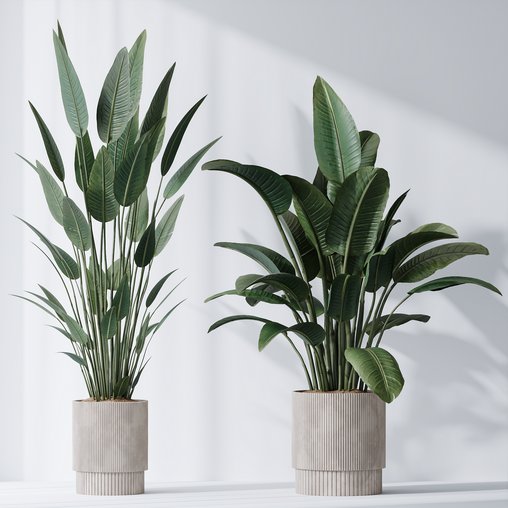 HQ Plants Bird Of ParadiseBird Vase Set01 3d model Download Maxve