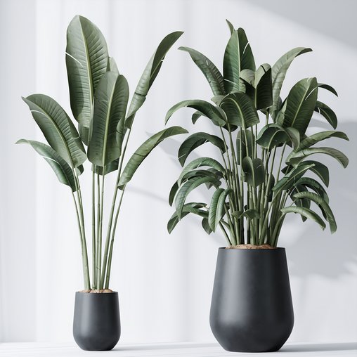 HQ Plants Bird Of ParadiseBird Vase Set04 3d model Download Maxve