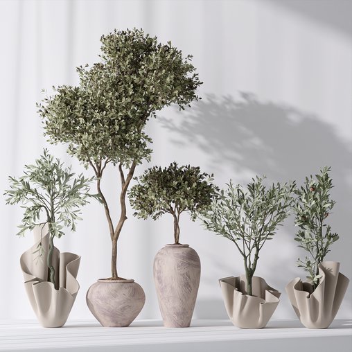 Mission Olive Tree Indoor Vase 01 3d model Download Maxve