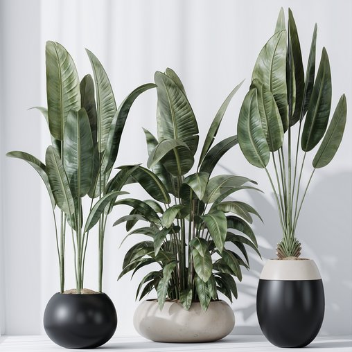 HQ Plants Bird Of ParadiseBird Vase Set06 3d model Download Maxve