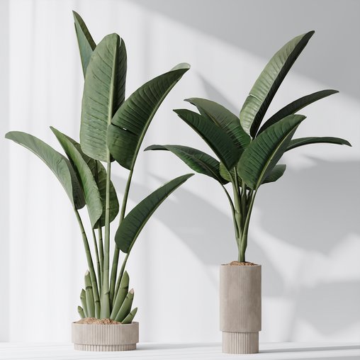 HQ Plants Bird Of ParadiseBird Vase Set02 3d model Download Maxve