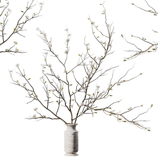 Dry Branches Bouquet18 3d model Download Maxve