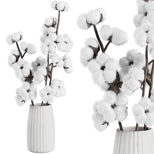 Cotton Flower Bouquet16 3d model Download Maxve