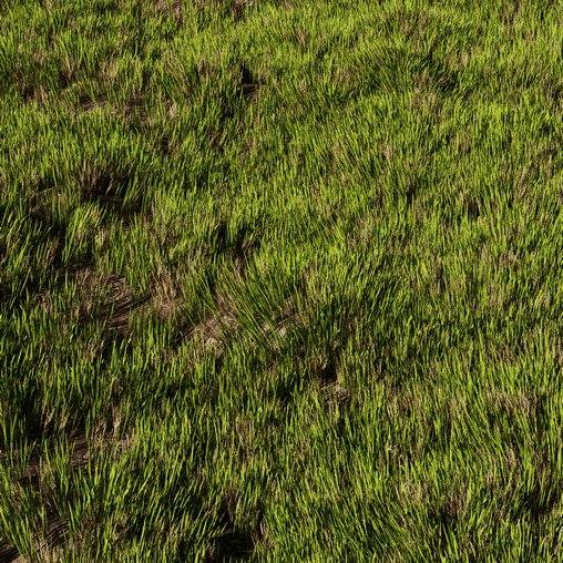 Wild Grass 3d model Download Maxve