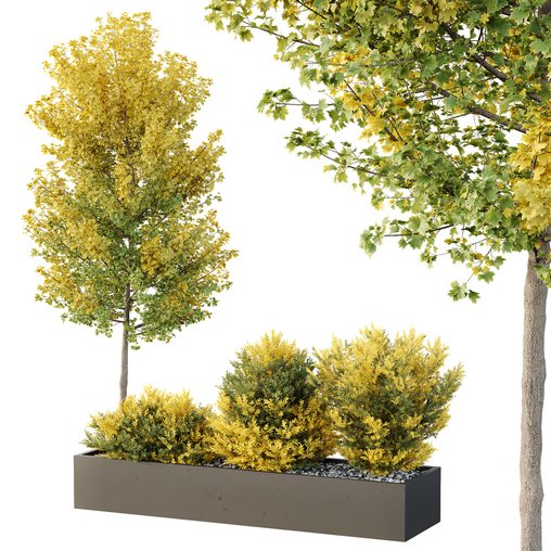 HQ Tree and bush garden box outdoor VOL 42 3d model Download Maxve