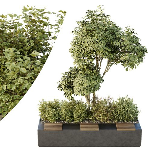 HQ Tree and bush garden box outdoor VOL 34 3d model Download Maxve