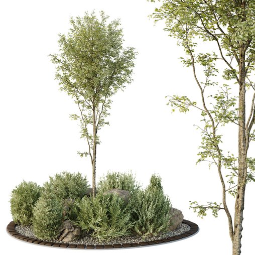 HQ Tree and bush garden box outdoor VOL 40 3d model Download Maxve