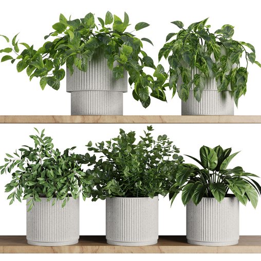 Plants on Shelf SetV8 3d model Download Maxve