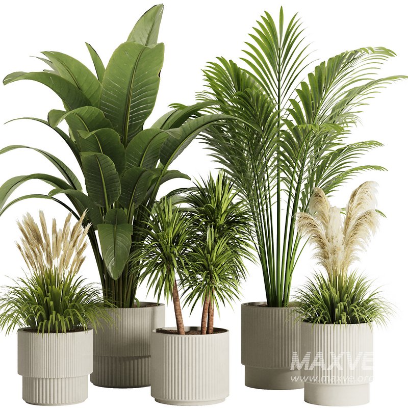 Indoor Plant Set50