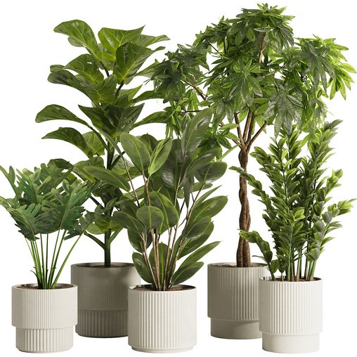 Indoor Plant Set48 3d model Download Maxve