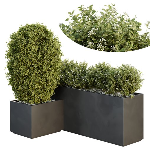 HQ Tree and bush garden box outdoor VOL 46 3d model Download Maxve