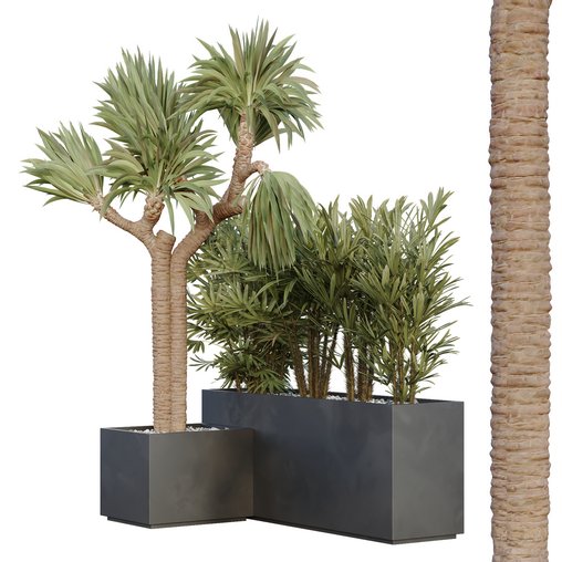 HQ Tree and bush garden box outdoor VOL 45 3d model Download Maxve