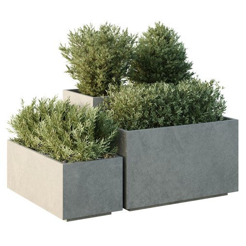 HQ Tree and bush garden box outdoor VOL 52 3d model Download Maxve