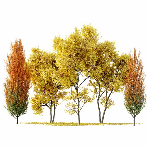 Maple Sapindaceae and Acer Saccharinum Fall trees 3d model Download Maxve