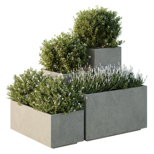HQ Tree and bush garden box outdoor VOL 51 3d model Download Maxve