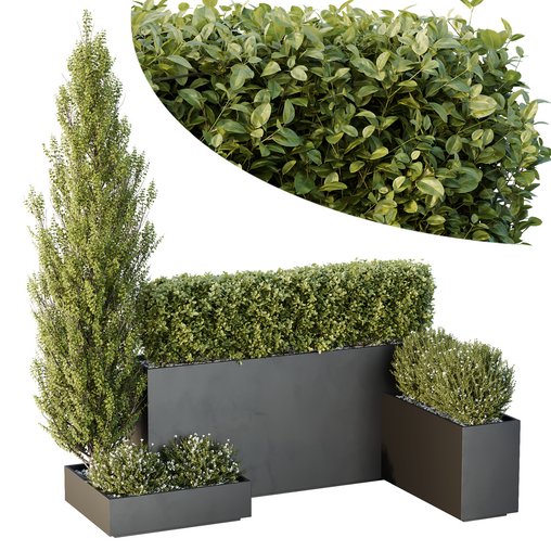 HQ Tree and bush garden box outdoor VOL 49 3d model Download Maxve